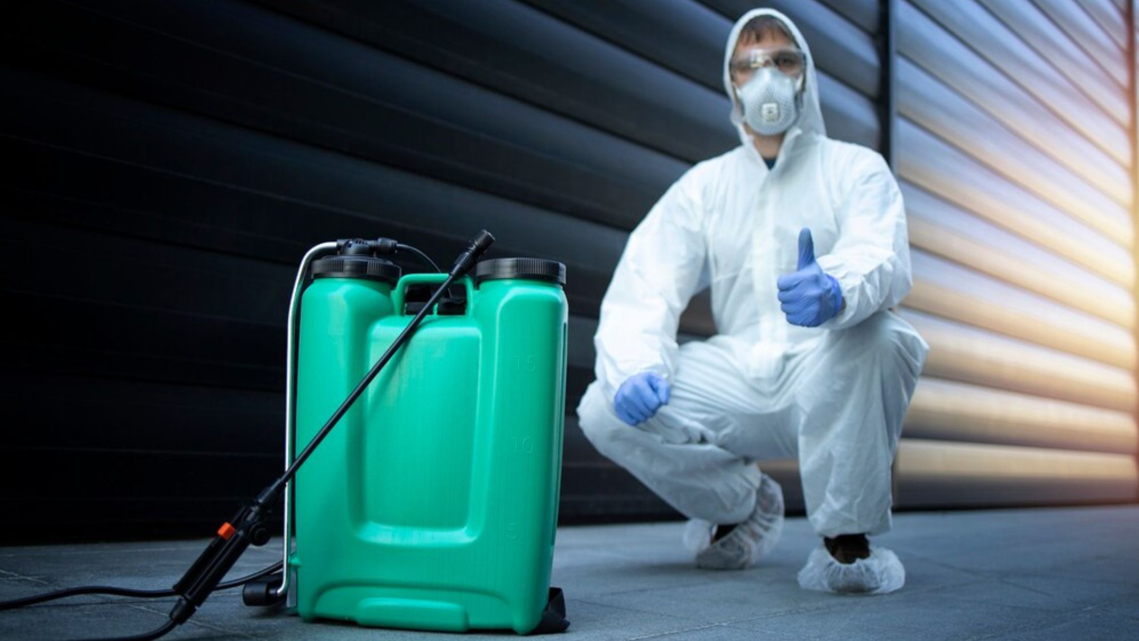 Pest Control Tips and Tricks to Keep Pests Away